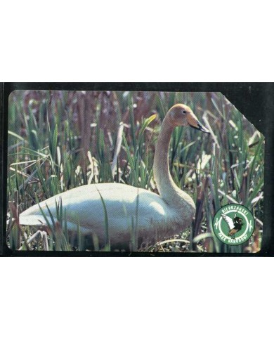 KARTA TELEFONICZNA - nr 953 - BIEBRZAŃSKI PARK NARODOWY - ZUŻYTA